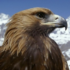 Антон Игнатов, 28.07.1984, Самара