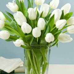 Айгерим Тюльтебаева, 09.07.1989, Шымкент