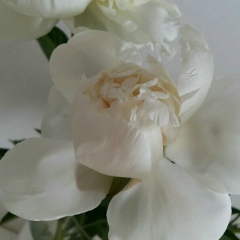 Екатерина Киро, 02.05.1984, Одесса