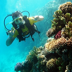 Firuz Rustamovich, 01.03.1989, Москва