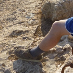 Дмитрий Владимирович, Санкт-Петербург