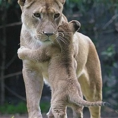 Наталья Кунашко, 10.04.1980, Киев