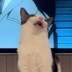 Павел Орликов, 01.04.1987, Санкт-Петербург