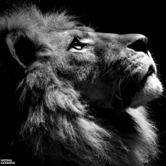 Егор Коряков, 06.08, Санкт-Петербург