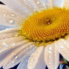 Марина Воробьёва, 10.02, Петрозаводск