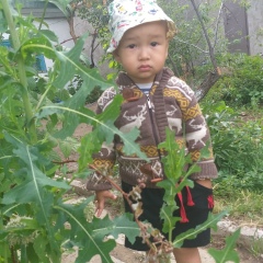 Аман Балжигитов, 07.06.1990, Актобе