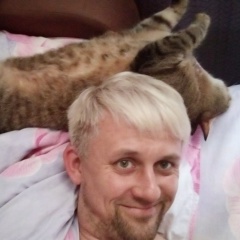 Котик , 27.11, Санкт-Петербург