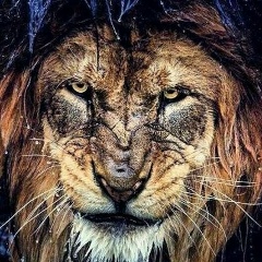 Бек Ибрагимов, 25.08, Красноярск