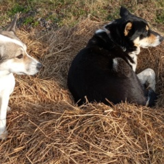 Андрей Белик, 23.04.1980, Тихвин