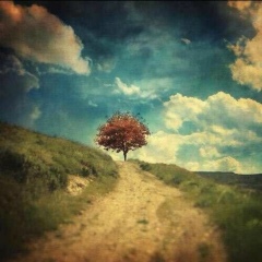 Артём Спиридонов