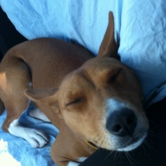 Антон Кураев, 21.03.1983