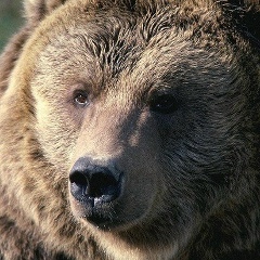 Алексей Александров, 30.03.1985, Нижний Новгород