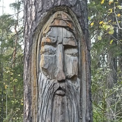 Анаколий Горошко, Санкт-Петербург