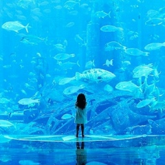 Оксана Юрьева, 05.05, Санкт-Петербург