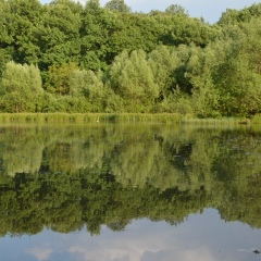 Лёша Титов, 30.12.1982, Москва