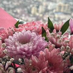 Анна Ремыга, Ялта