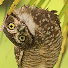 Вика Денисовна, 26.03, Москва