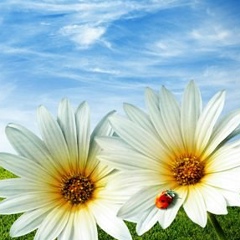 Ирина Чернышова, 08.02.1987, Москва