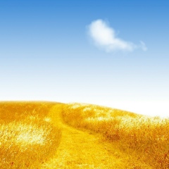 Вадим Ковалевский, 21.08, Киев