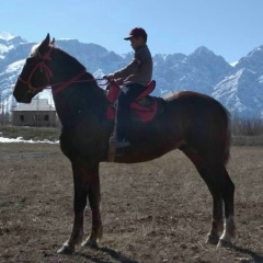 Самир Мамасабиров, 27.05, Москва