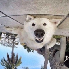 Роман Витюк, 22.10.1986