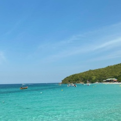 Мадина Ошан, 06.05, Шымкент