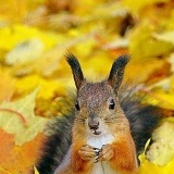 Natalia Abelova, Москва