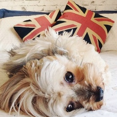 Александра Андреева, Санкт-Петербург