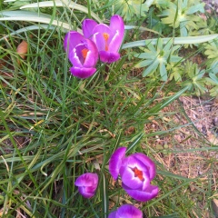 Ludmila Kvitka, 18.12.1984, Черкассы