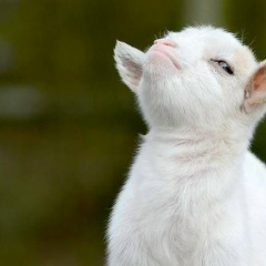 Елена Мельникова, 05.08, Алматы