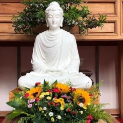 Lucky Man, 07.06.1981