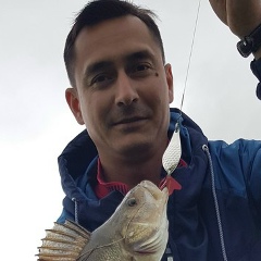 Владимир Кудряшов, Новочебоксарск