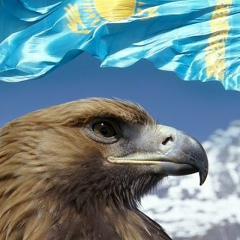 Daniar Arpabayev, 16.02.1990, Алматы