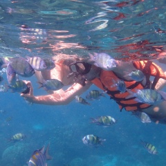 Andrei Vazdautan, 05.12, Кишинев