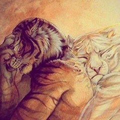 Батырхан Кокежан, 07.07