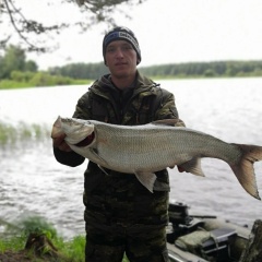 Денис Трофимов, 05.08.1990, Кашин