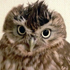 Ольга Фурманчук, 08.08, Киев