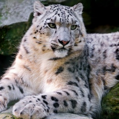 Андрей Дьячук, 20.03, Санкт-Петербург