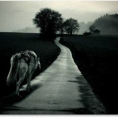 Петр Чебанько, 08.05.1977, Алматы