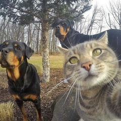 Леша Сурков, 05.08.1989, Ярославль