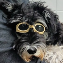 Анастасия Семенюк, 25.02.1985, Москва