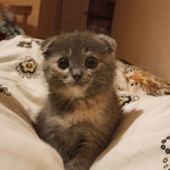 Оксана Окунева