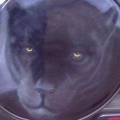 Любаша Мутовкина, 11.07, Одесса