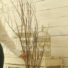 Анна Алиева, 08.07.1994, Москва