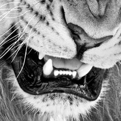 Алексей Иванов, 01.09.1994, Пермь