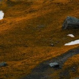 Евгений Солдатов, 26.02