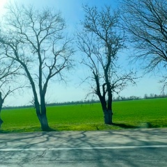 Яна Шуть, 17.11, Москва