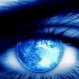 Виталий Хасанов, 12.11