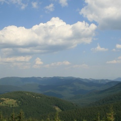Олексій Богачук, 02.08.1982, Киев