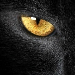 Иришка Нефедова, 01.02.1978, Санкт-Петербург